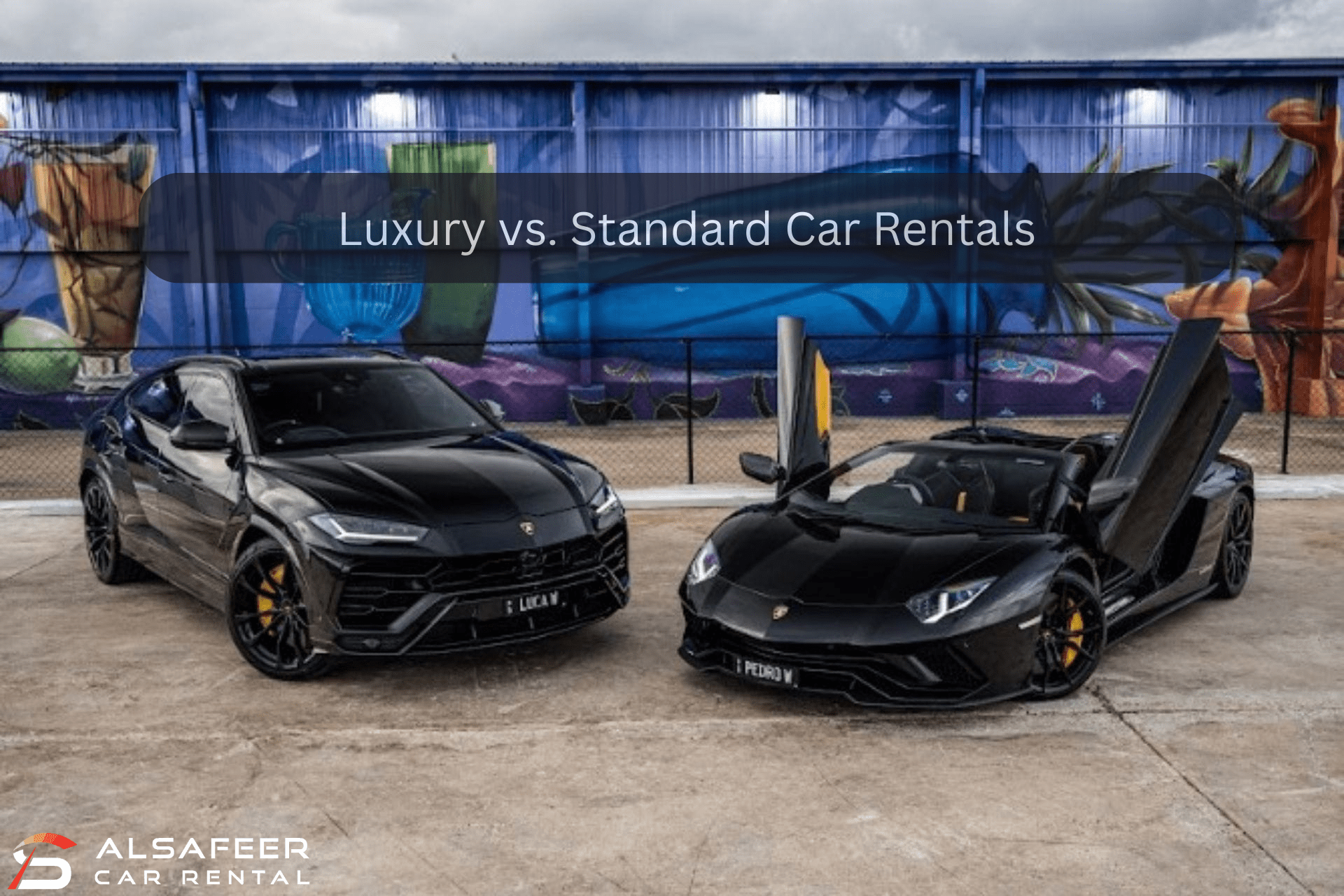 20032025022548Luxury vs. Standard Car Rentals